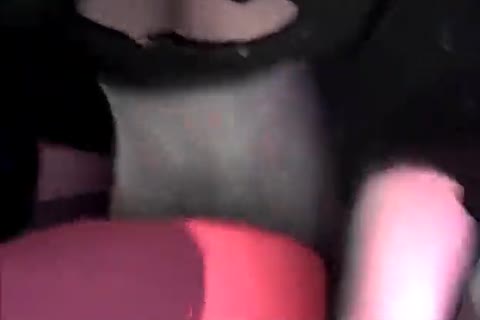 Pmv Xxxtreme