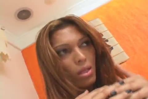 latina tranny With A throbbing knob receives A Facial After Taking knob