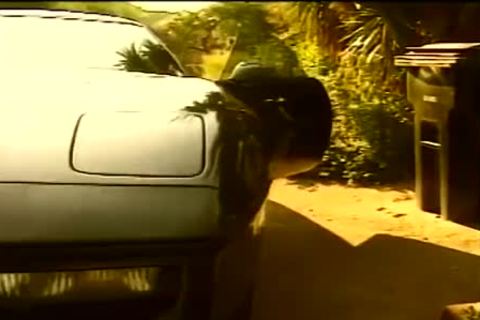 VINTAGE darksome shemale two